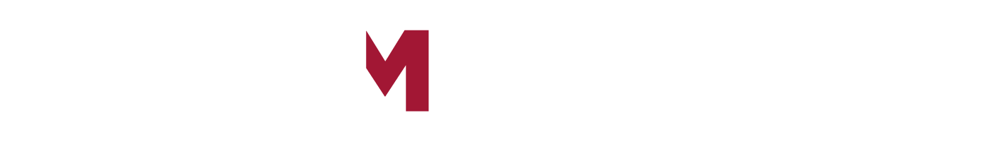 MEIM | Master Entrepreneurship & Innovation Management UniParthenope
